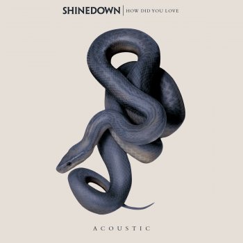 Shinedown How Did You Love (Acoustic)