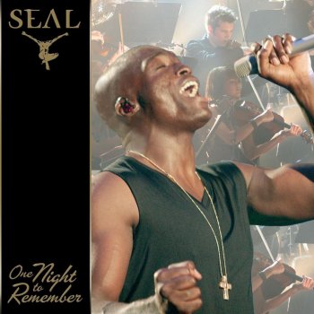 Seal Get It Together - Live