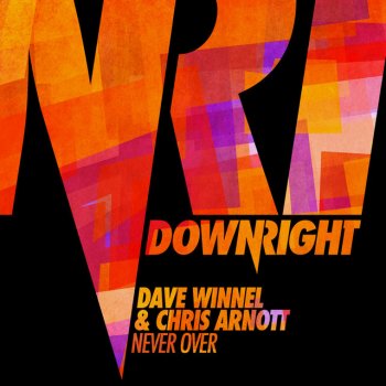 Dave Winnel feat. Chris Arnott Never Over