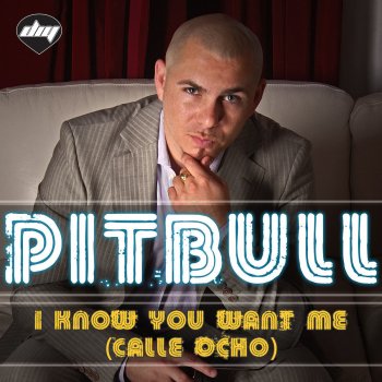 Pitbull I Know You Want Me (calle ocho) - Radio Edit