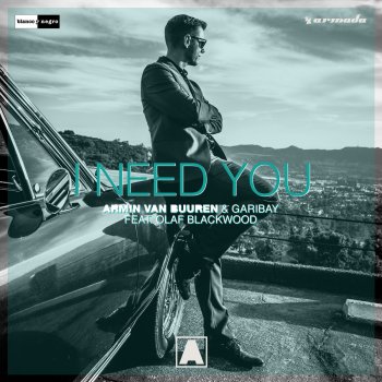 Armin van Buuren & Garibay feat. Olaf Blackwood I Need You - Extended Mix