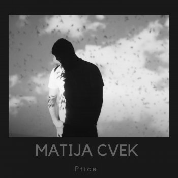 Matija Cvek Ptice (Nik Orosi Remix)