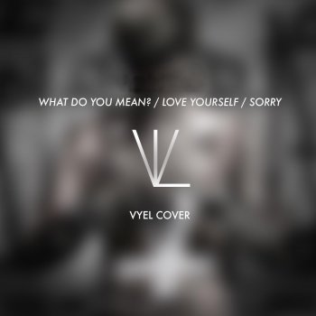 Vyel What Do You Mean? / Love Yourself / Sorry