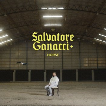 Salvatore Ganacci Horse