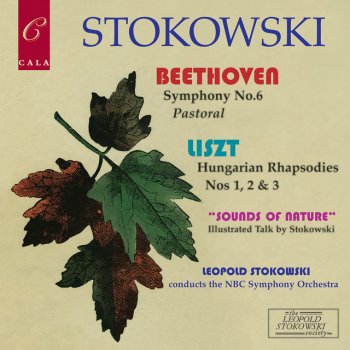 NBC Symphony Orchestra Three Hungarian Rhapsodies: No. 3 in D Major