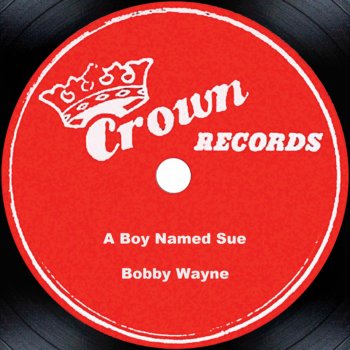 Bobby Wayne A Boy Named Sue