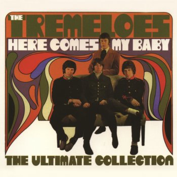 The Tremeloes Loving You Is Sweeter Than Ever