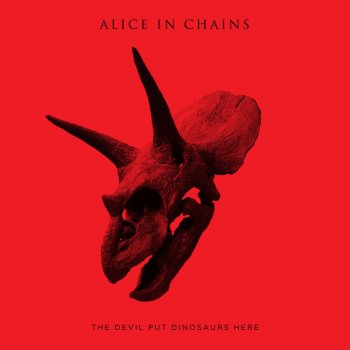 Alice In Chains Stone