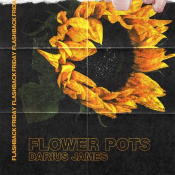 Darius James Flower Pots