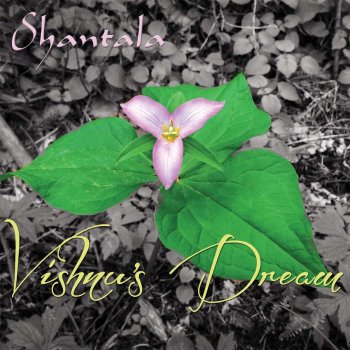 Shantala Vishnu's Dream