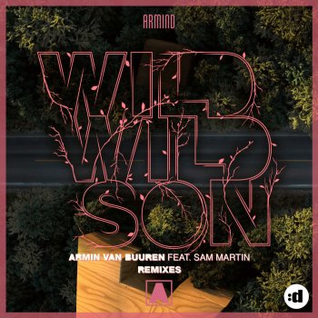 Armin van Buuren feat. Sam Martin Wild Wild Son (Richard Durand Remix)
