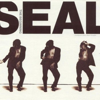 Seal The Beginning (Single Remix)