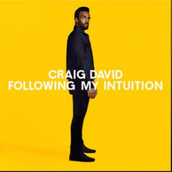 Craig David feat. Hardwell No Holding Back