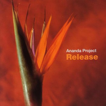 Ananda Project Expand Your Mind