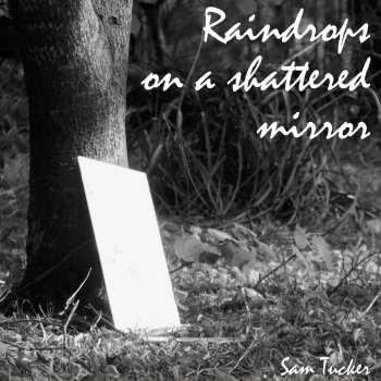 Sam Tucker Raindrops Falling on a Shattered Mirror