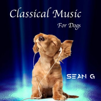 Sean G Prelude and Fugue No. 5 in D Major, BWV 850