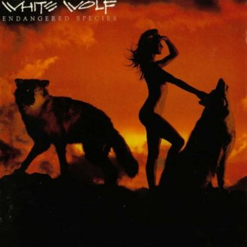 White Wolf Just Like an Arrow