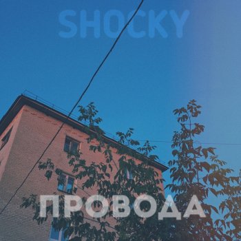 SHOCKY Провода