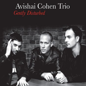 Avishai Cohen Trio Pinzin Kinzin