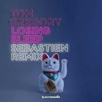 Tom Gregory Losing Sleep (Sebastien Remix)