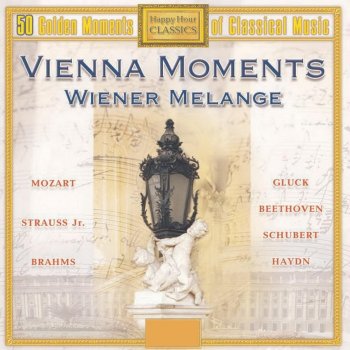 Orchestra New Philharmony St. Petersburg Divertimento, in F major, K. 253: III. Allegro assai