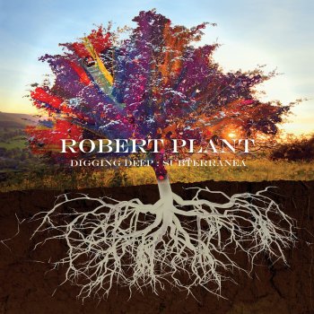 Robert Plant Too Much Alike (with Patty Griffin)