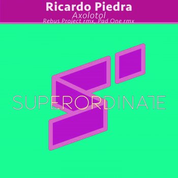 Ricardo Piedra Axolotol (Rebus Project Rmx)