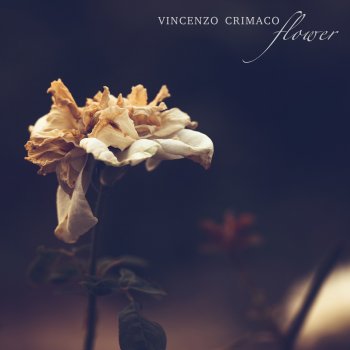 Vincenzo Crimaco Flower