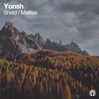 Yonsh Maltise