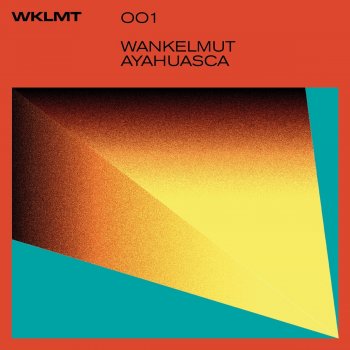 Wankelmut Ayahuasca (Extended Mix)