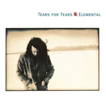 Tears for Fears Fish out of Water