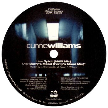 Cunnie Williams Spirit (MAW Mix)