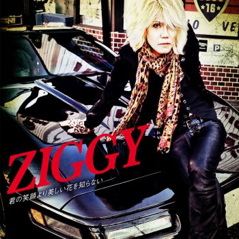 Ziggy 最後の声が途切れるまで(Inst.)