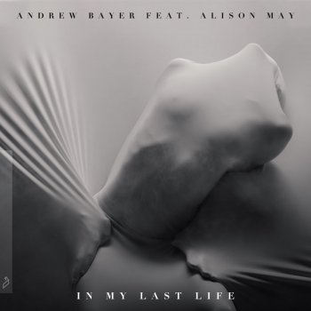 Andrew Bayer feat. Alison May In My Last Life - In My Next Life Extended Mix