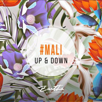 Mali Up And Down - Original Mix