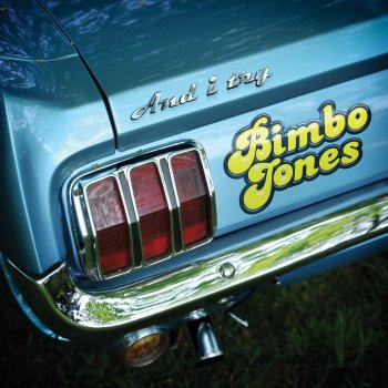 Bimbo Jones And I Try (Don Diablo's Distorted Disco Mix)