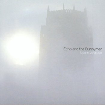 Echo & The Bunnymen Never Stop (Live)