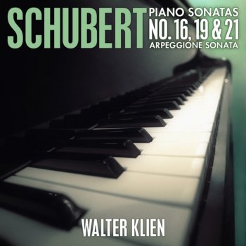 Franz Schubert feat. Walter Klien Sonata No. 19 in C Minor for Piano, D. 958: IV. Allegro