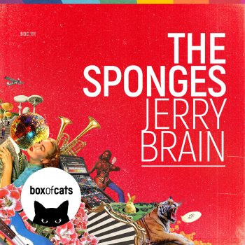 The Sponges Jerry Brain