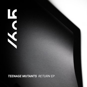 Teenage Mutants Return (Heerhorst Remix)