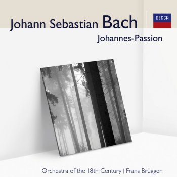 Johann Sebastian Bach, Orchestra Of The 18th Century, Christoph Pregardien & Frans Brüggen St. John Passion, BWV 245 - Part One: No.13 Aria (Tenor): "Ach mein Sinn"