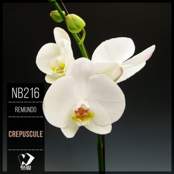 Remundo Crepuscule - Original Mix