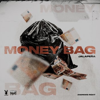 Jalapeña Money Bag