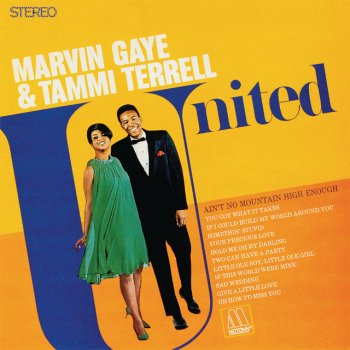 Marvin Gaye & Tammi Terrell If This World Were Mine