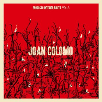 Joan Colomo De Luz y Color