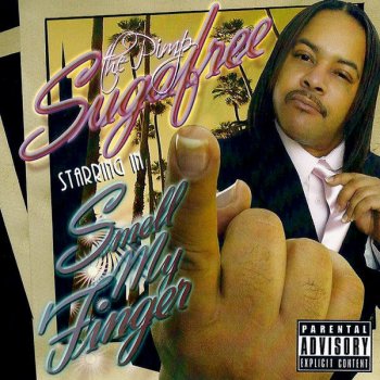 Suga Free It Is What It Is