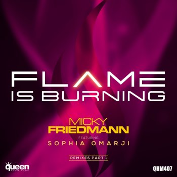 Micky Friedmann feat. Sophia Omarji Flame Is Burning