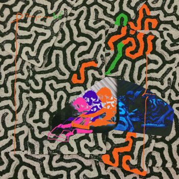 Animal Collective Coral Understanding