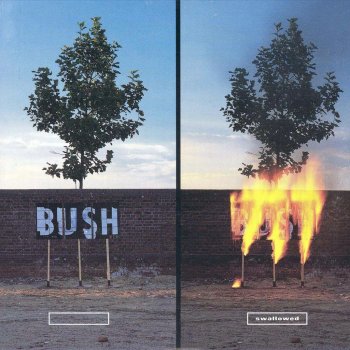 BUSH Swallowed (Toasted Both Sides Please: Goldie remix)