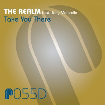 The Realm Feat. Tony Momrelle Take You There - Ray Jones Dub Mix